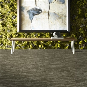 Tidewater 18 x 36 Tile